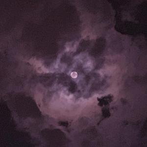 乱肉合集500集王老师
